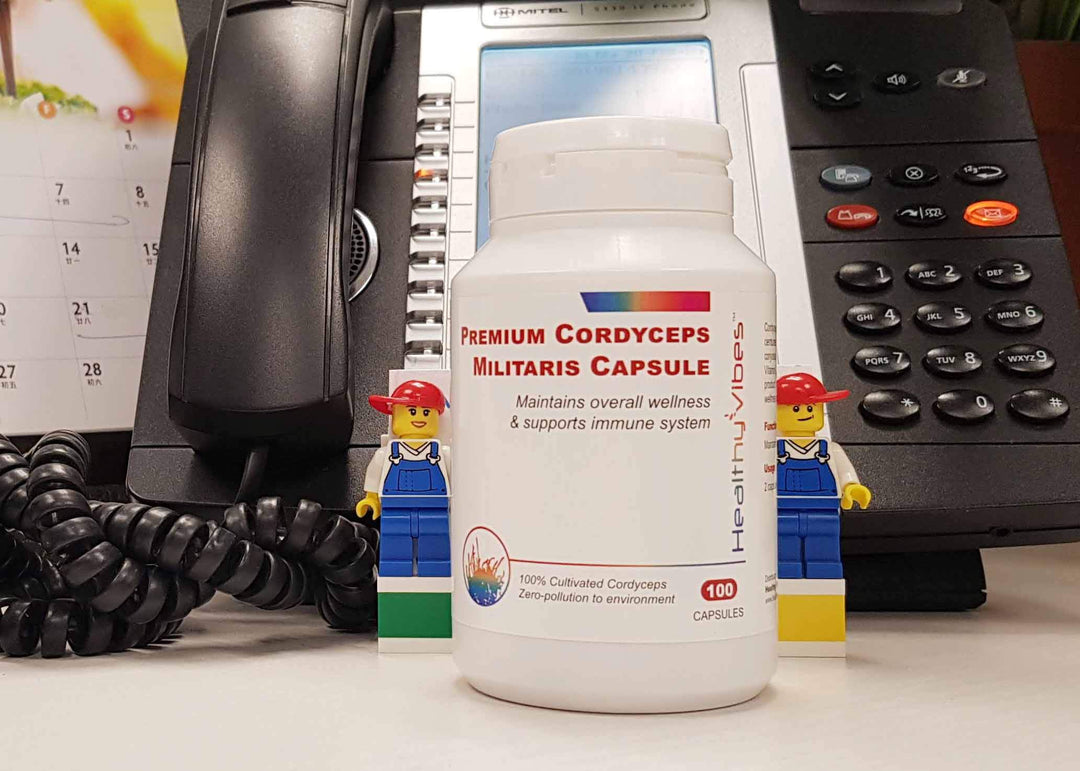 Healthy Vibes Premium Cordyceps Militaris